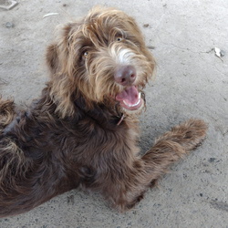 Winnie