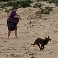 2024-11-11 14.45.49-1